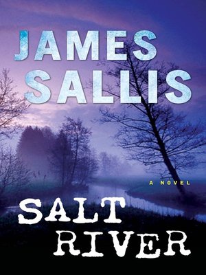 cover image of Salt River